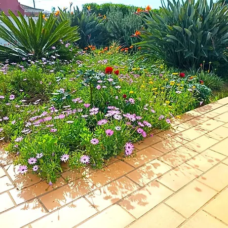 Guest house Casa Azul *