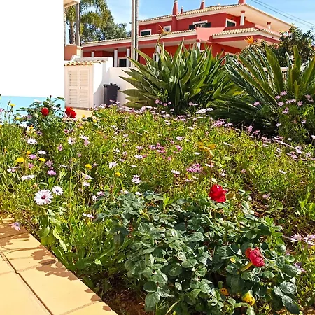 Casa Azul Лагуш